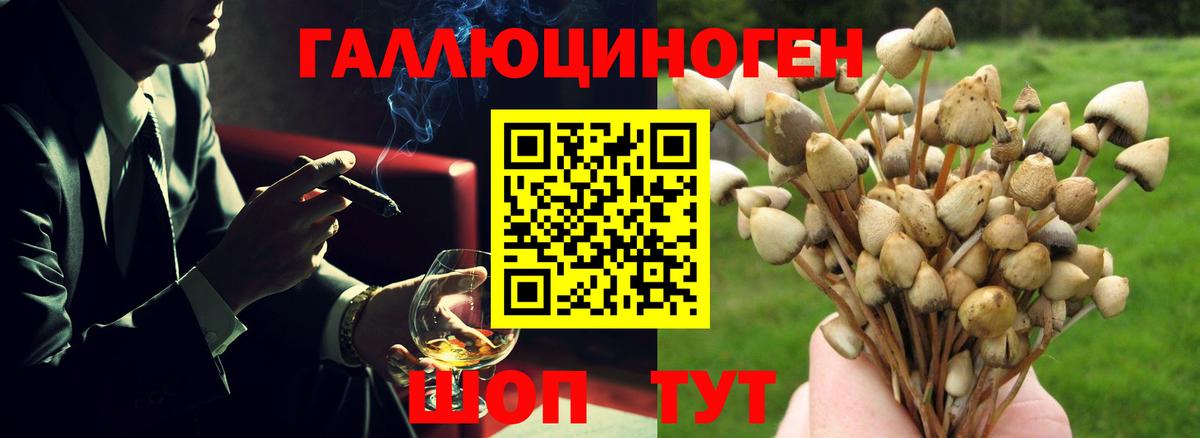 Галлюциногенные грибы Psilocybine cubensis  Вход с VPN  Конаково 